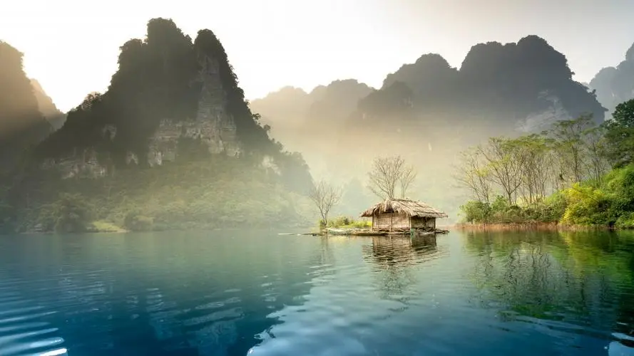 绿色全自动高性能